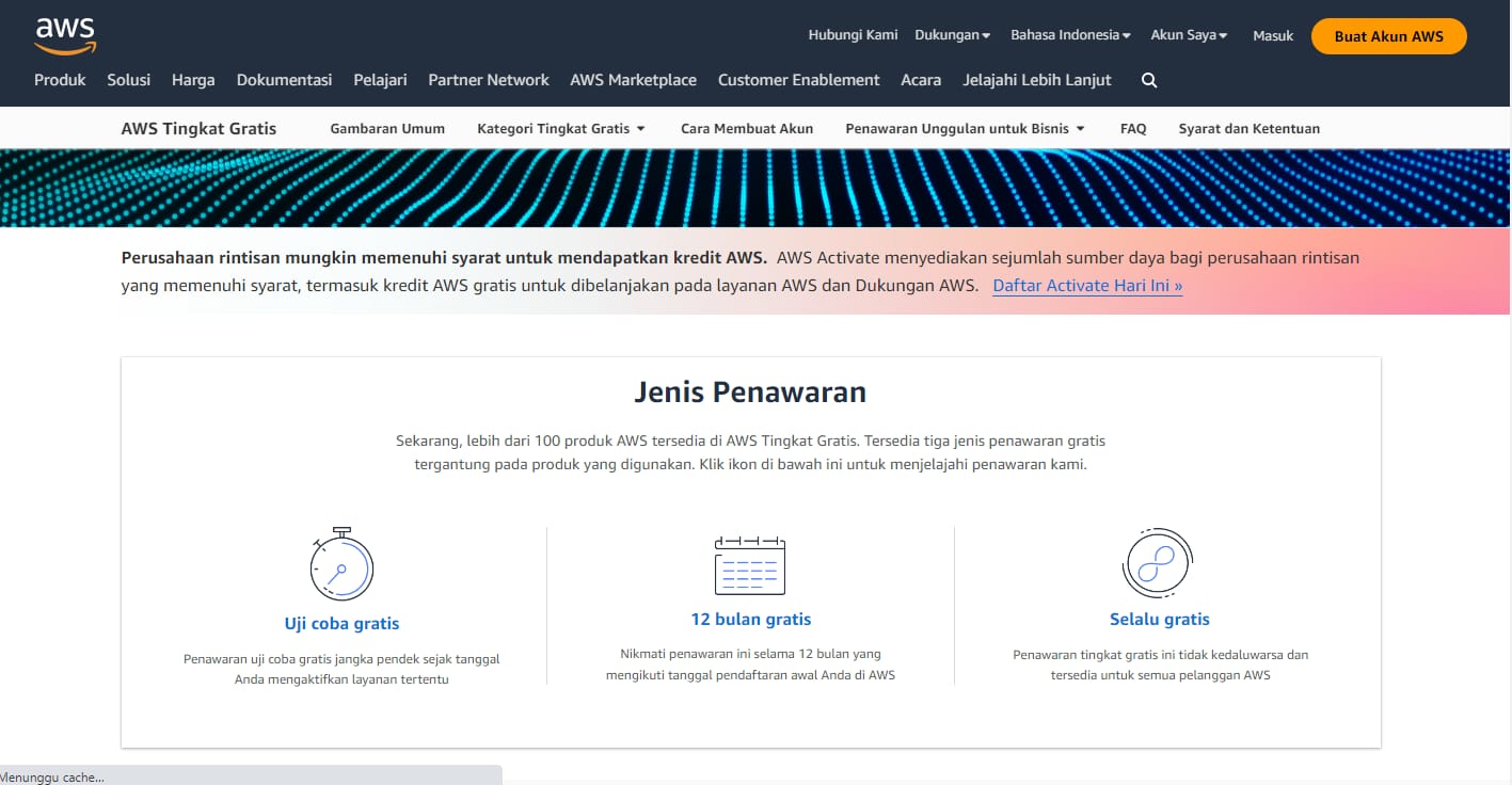 aws free proxy server