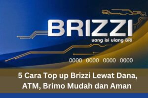 cara top up brizzi