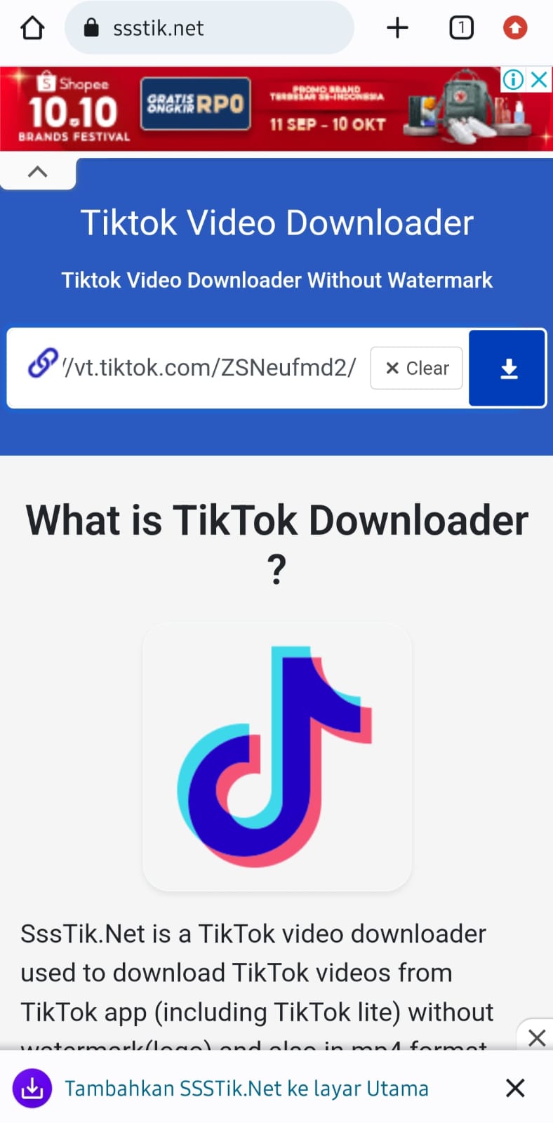 ss tiktok downloader