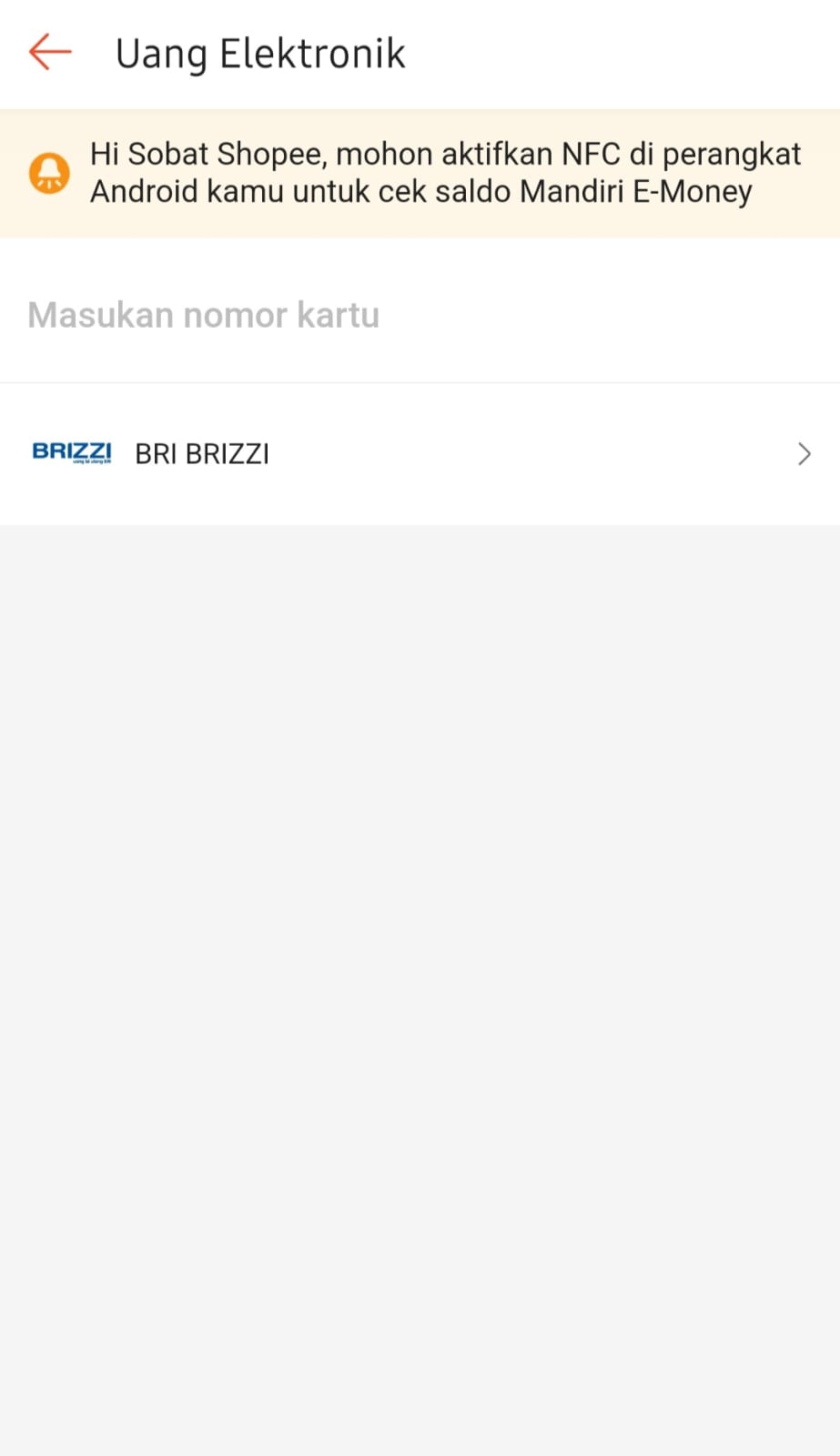 top up brizzi di shopee