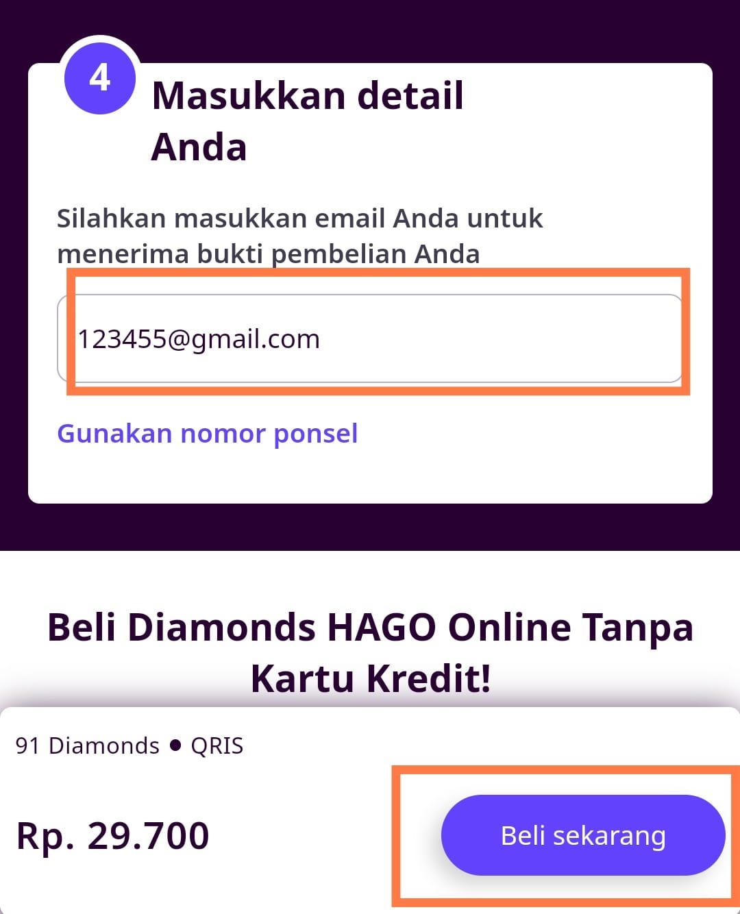 memasukkan detail email dan pembayaran